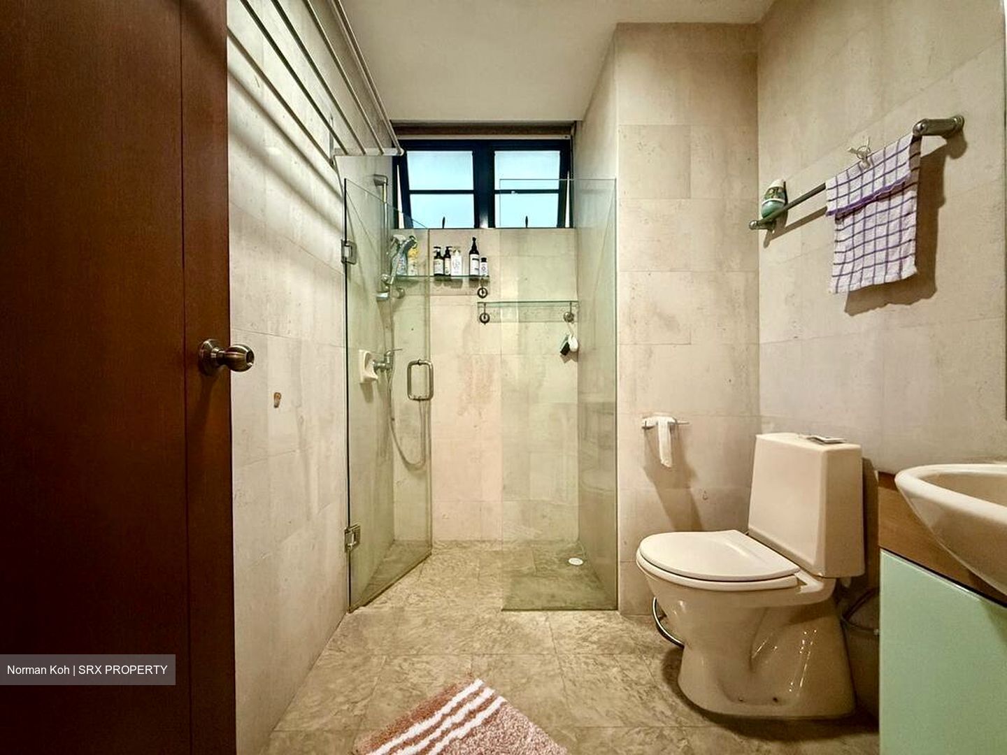 Sanctuary Green (D15), Condominium #519394031